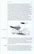Where to watch Birds in Portugal - The Azores & Madeira Archipelagos - Moore,C. 2020